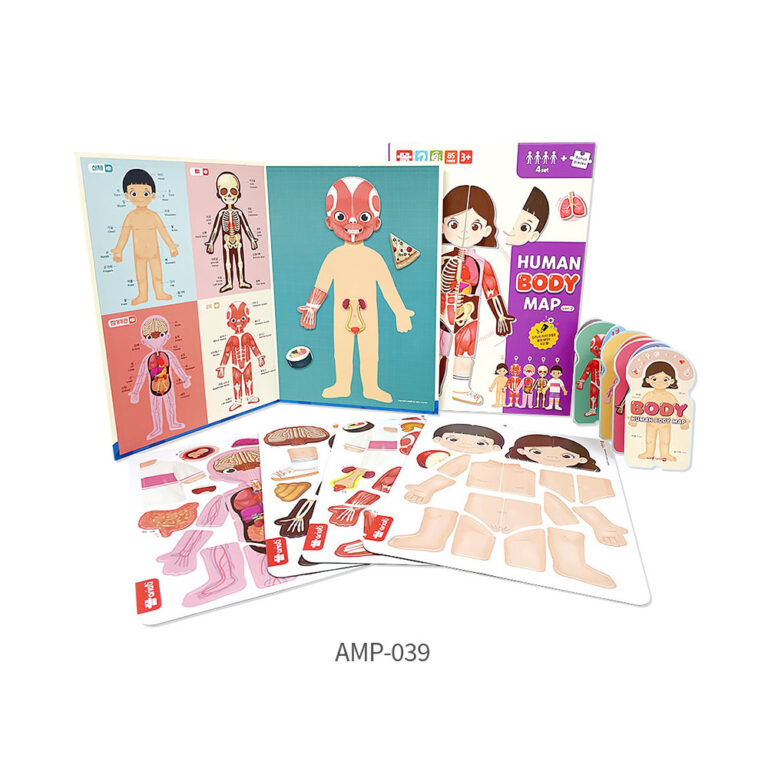 Human body map - Magpia Co., Ltd.